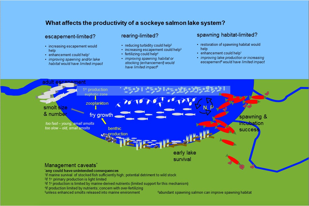 Klawock Lake Sockeye Salmon Resources and Summary Documents from the